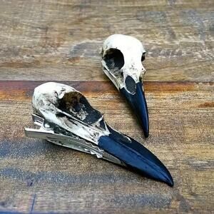Gothic Raven Skull Hair Clip – Bird Skull Barrette for Alternative, Witchy